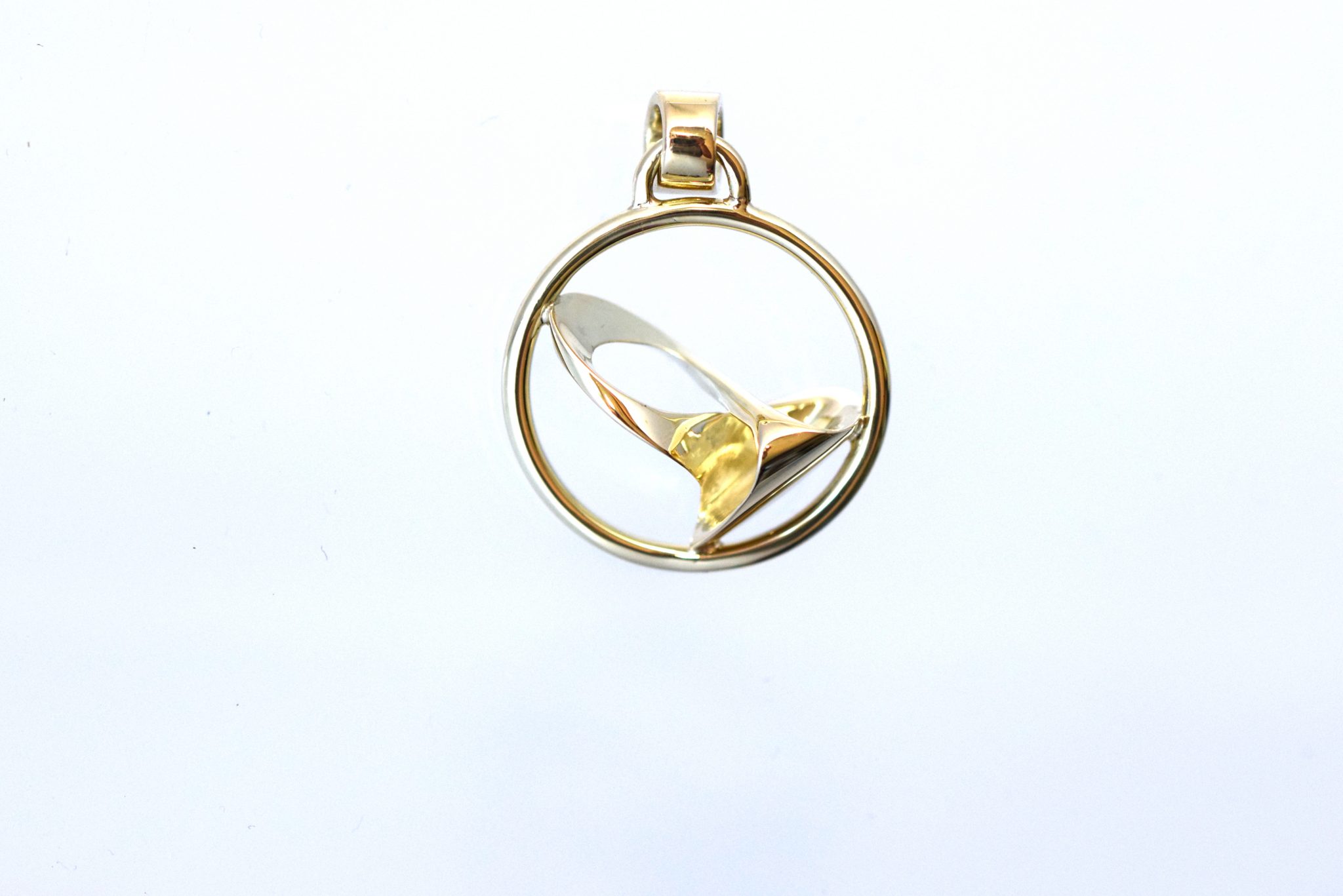 Paralympisch goud 2017 Paralympics Rio Teuns Design Wijchen regio Nijmegen / Oss